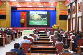 Quy hoạch Gia Lai trở thành hình mẫu của nền kinh tế phát triển bền vững