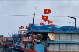 Quảng Ngãi: Một tàu cá và 16 ngư dân nhiều ngày mất liên lạc