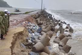 Bão số 9: Hơn 5.212 ha lúa mới gieo sạ ở Bình Định bị ngập