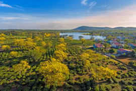 Từ đồi chè Long Tỉnh nhìn về Biển Hồ, Bàu Cạn