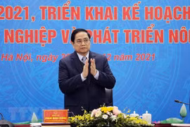 Nông dân là trung tâm, nông nghiệp là động lực, nông thôn là nền tảng