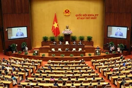 Nhìn lại năm 2021: Quốc hội năng động, đổi mới, hành động vì dân