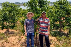 Trở về khởi nghiệp trên quê hương (*): Về quê và làm giàu