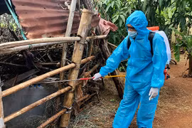 Phê duyệt kế hoạch phòng-chống dịch bệnh động vật trên cạn, thủy sản