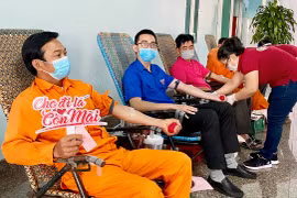 Tiếp nhận 245 đơn vị máu an toàn trong dịp "Tuần lễ hồng EVN"