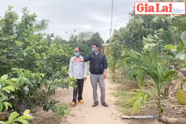 Nông hội kinh tế vườn xã Ayun Hạ: Ngôi nhà chung của nông dân