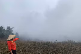 Đức Cơ: Lò sấy cà phê gây ô nhiễm môi trường