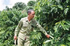 Con đường thoát nghèo của Thao Nguyên