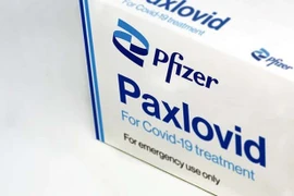 Pfizer bàn giao thuốc điều trị Covid-19 để phân phối khắp châu Âu, Mỹ