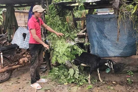 Đak Smar đột phá trong công tác giảm nghèo