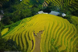 Du lịch trải nghiệm trực tuyến - hướng đi mới cho du lịch Hà Giang