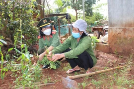 Trở về quê mẹ bao dung