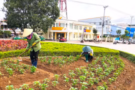 Chỉnh trang đô thị đón năm mới