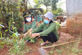Trở về quê mẹ bao dung
