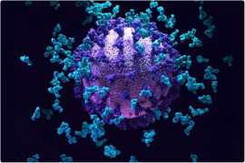 Nghiên cứu cho thấy vừa tiêm mũi 2 được 28 ngày vẫn có thể nhiễm Omicron