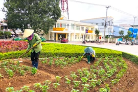 Chỉnh trang đô thị đón năm mới