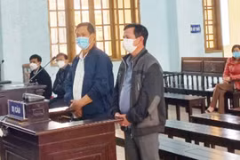 Gia Lai: Để mất hơn 420 ha rừng, 2 nguyên cán bộ ra tòa lãnh án