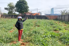 Khổ vì lò sấy cà phê gây ô nhiễm