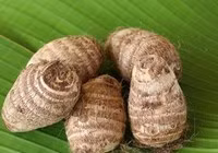 Khoai sọ và những lợi ích tuyệt vời đối với sức khỏe