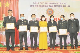 Gia Lai khen thưởng 34 tập thể, cá nhân về thi hành án dân sự
