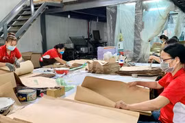 Gia Lai: Trả lời ý kiến, kiến nghị của cử tri TP. Pleiku và huyện Chư Pưh