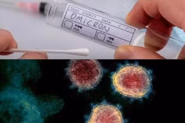 14/15 người nhập cảnh vào Việt Nam nhiễm biến chủng Omicron