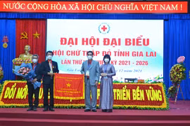 Ông Dương Đình Diện tái đắc cử Chủ tịch Hội Chữ thập đỏ tỉnh Gia Lai