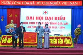 Ông Dương Đình Diện tái đắc cử Chủ tịch Hội Chữ thập đỏ tỉnh Gia Lai