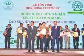 Công ty Cao su Chư Păh: Sôi nổi phong trào thi đua lao động sản xuất