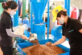 Lãnh đạo Đắk Lắk xin việc cho dân, doanh nghiệp sẽ đến tận nơi tuyển dụng