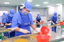 Đắk Nông mạnh tay thu hồi dự án làm ăn không hiệu quả trong khu công nghiệp