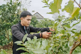 Trưởng thôn... tuổi 30