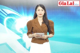 Gia Lai 48h: Chấn chỉnh tình trạng lợi dụng danh nghĩa báo chí để hoạt động trái pháp luật