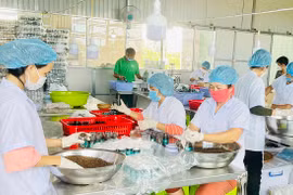 Sản phẩm công nghiệp nông thôn tiêu biểu: Động lực phát triển nông thôn