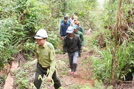 UBND tỉnh trả lời cử tri về trồng rừng tại Chư Pưh, hỗ trợ hộ chăn nuôi có bò chết do viêm da nổi cục