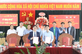 Ký kết hợp tác chuỗi liên kết sản xuất và tiêu thụ chanh dây