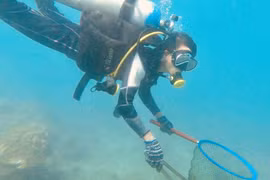 Giám sát rác thải nhựa trên hệ sinh thái biển Cù Lao Chàm