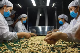 Lạm phát toàn cầu đe dọa xuất khẩu