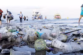 Du lịch văn minh, đẩy lùi 'ô nhiễm trắng'
