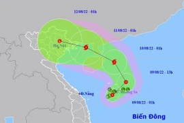 Chủ động ứng phó với áp thấp nhiệt đới có khả năng mạnh lên thành bão