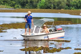 Đắk Nông: Huy động cán bộ đi vớt bèo, dọn rác