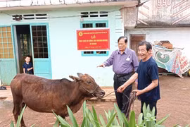 Hỗ trợ sinh kế cho nạn nhân da cam