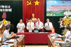 Hội thảo khoa học hợp tác phát triển trang trại nông nghiệp hữu cơ tại các tỉnh Tây Nguyên