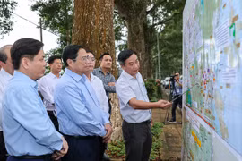Ban Quản lý dự án 6 được giao lập báo cáo nghiên cứu khả thi dự án cao tốc Khánh Hòa-Buôn Ma Thuột