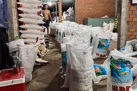 Phát hiện điểm sản xuất số lượng lớn bột ngọt giả