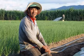 Kon Tum mới có... 8 công nhân nhận được tiền hỗ trợ thuê nhà