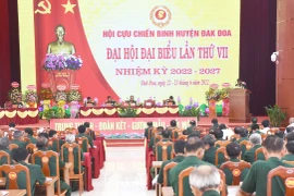 Hội Cựu chiến binh tỉnh Gia Lai tích cực, chủ động hướng tới đại hội