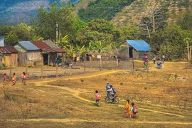 Mùa rừng Chư Yang Sin