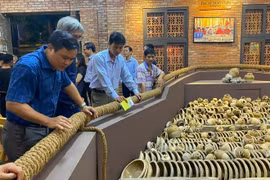 Trưng bày di sản từ những con tàu đắm và bảo vật quốc gia