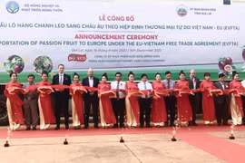 DOVECO Gia Lai: Khẳng định thương hiệu trên thị trường thế giới